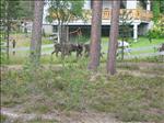 Sweden 2006-07 040